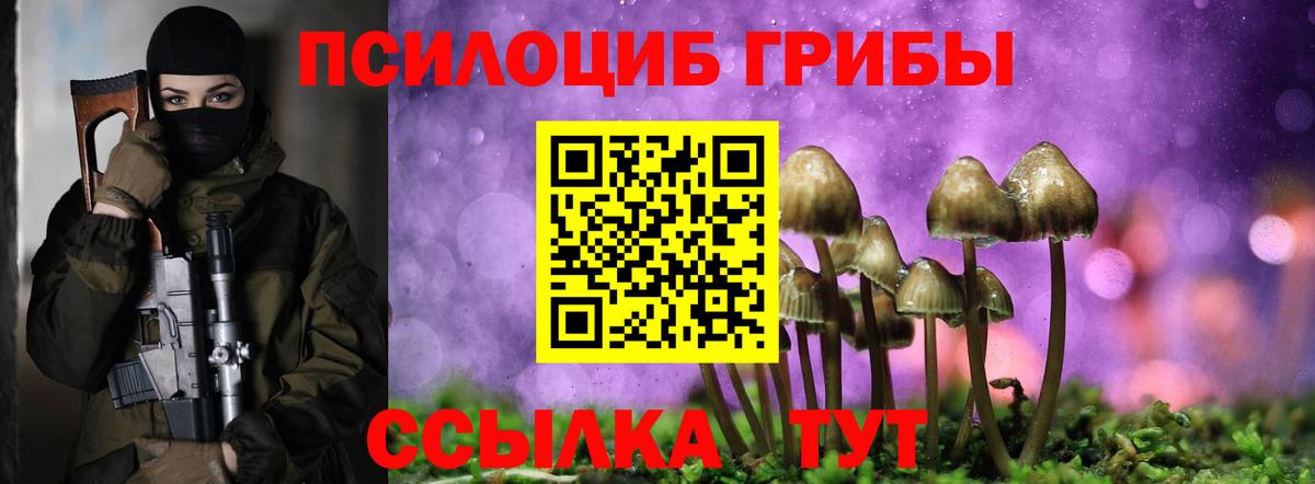 Малгобек  Галлюциногенные грибы MAGIC MUSHROOMS  Вход с VPN 