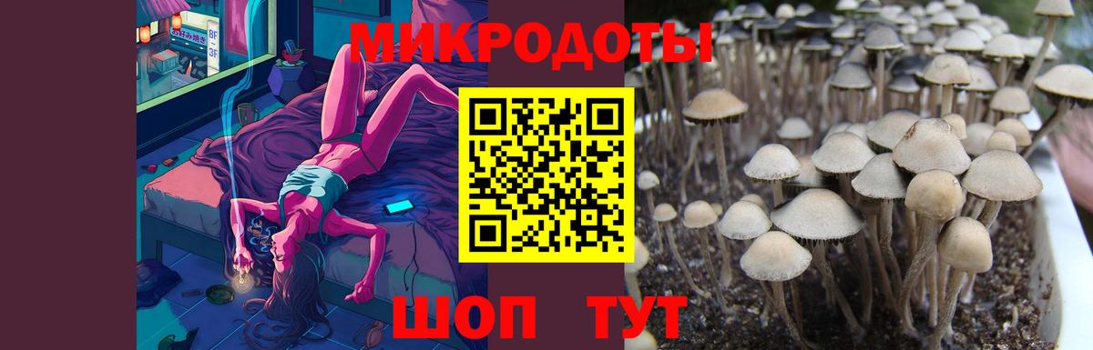 Псилоцибиновые грибы GOLDEN TEACHER Малгобек